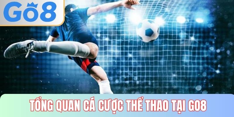 Tổng quan về cá cược thể thao