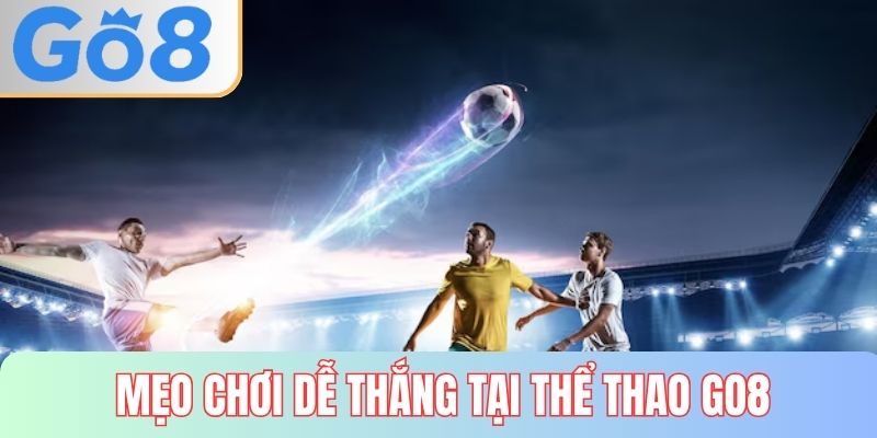 Mẹo chơi dễ thắng đậm tại sports GO8